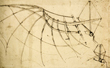 studio sobre ala unida. Códice Atlántico, f. 131 r-a [858 r]. Leonardo da Vinci. Milán, Biblioteca Ambrosiana. C. 1480.